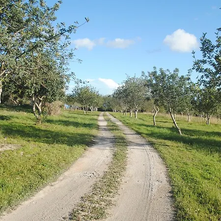 Bed & Breakfast Quinta Arruba